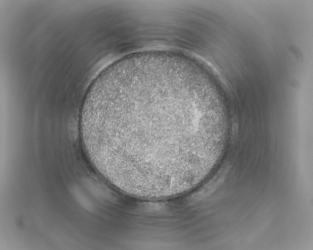 X0000114521409200911161306