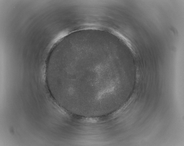 X0000114521411200911161306