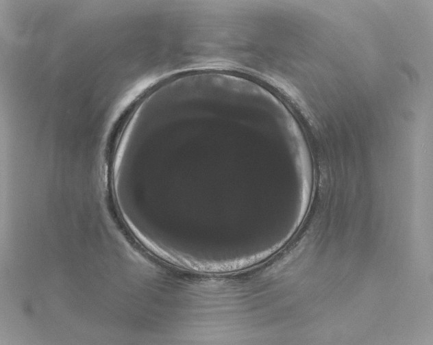 X0000114521414200911161306