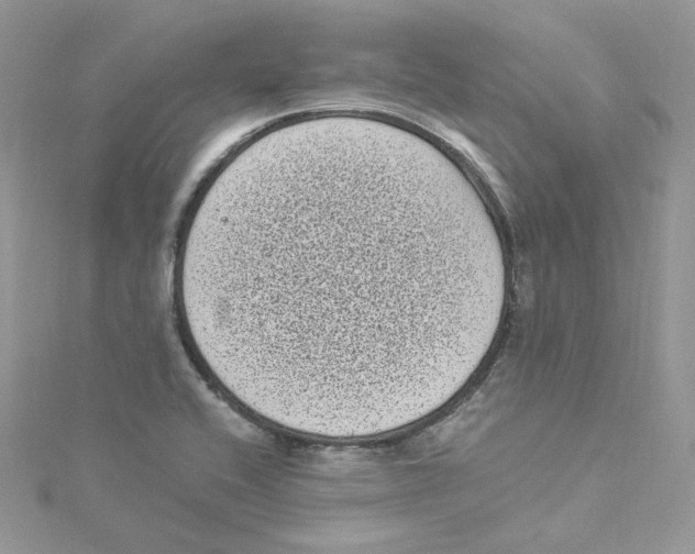 X0000114521416200911161307