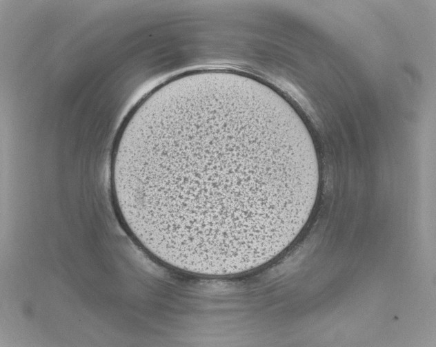 X0000114521420200911161307