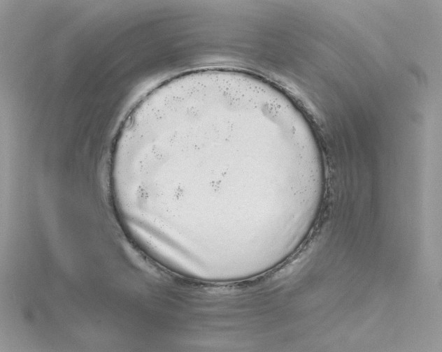 X0000114521421200911161307