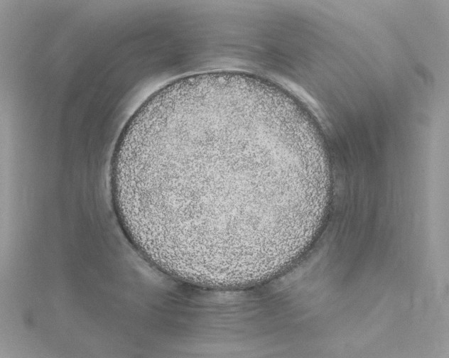 X0000114521423200911161307