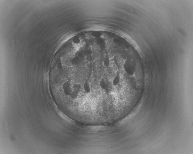 X0000114521425200911161307