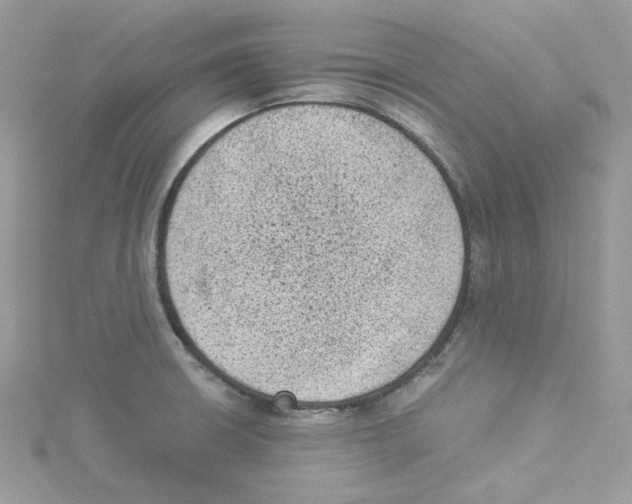 X0000114521426200911161307