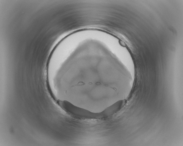 X0000114521428200911161307