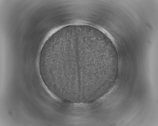 X0000114521429200911161307