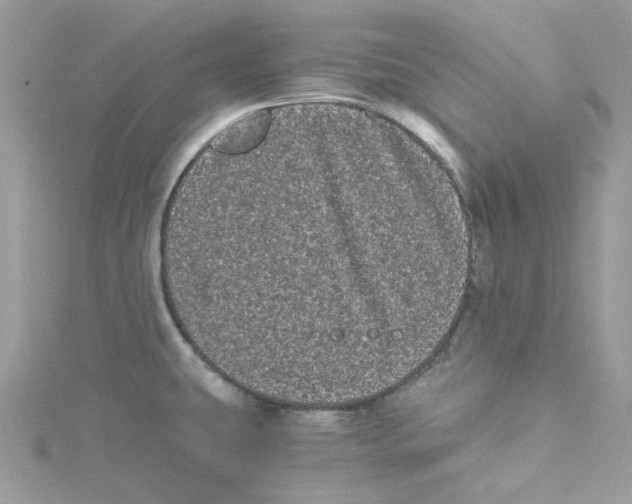 X0000114521431200911161307