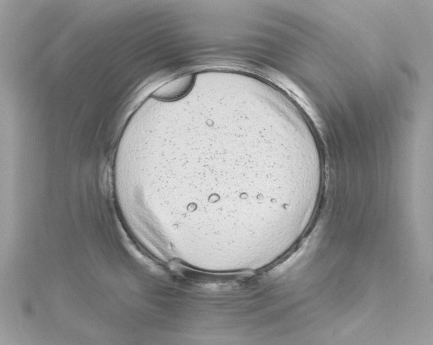 X0000114521433200911161307