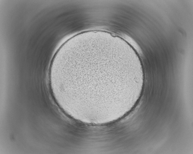 X0000114521436200911161307