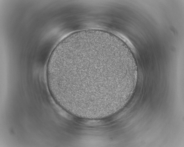 X0000114521439200911161307