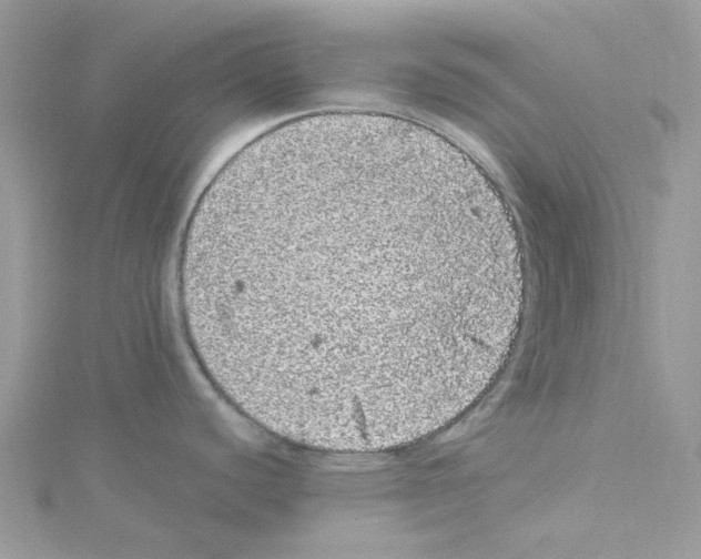 X0000114521440200911161307