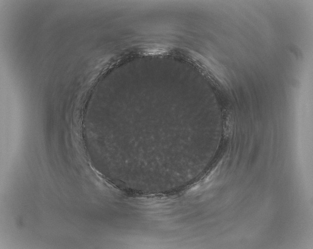 X0000114521441200911161306