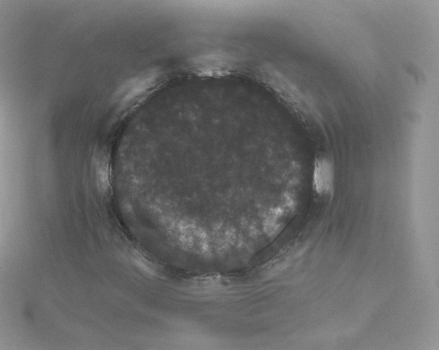 X0000114521444200911161306