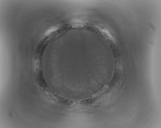 X0000114521445200911161306