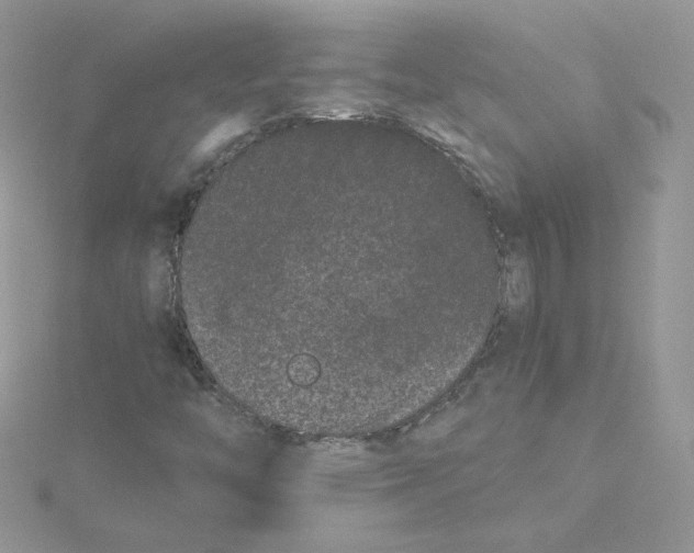 X0000114521446200911161306