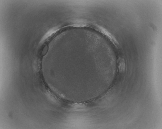 X0000114521448200911161306