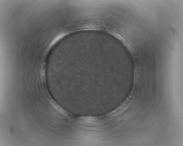 X0000114521450200911161306