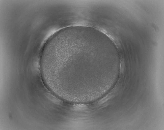 X0000114521454200911161306