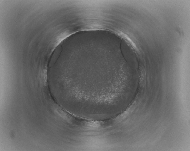 X0000114521457200911161306