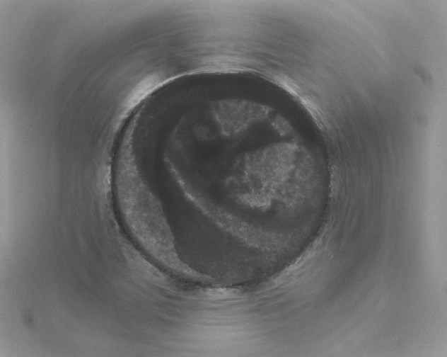 X0000114521459200911161306