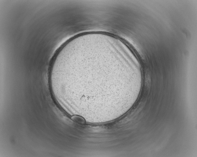 X0000114521460200911161306