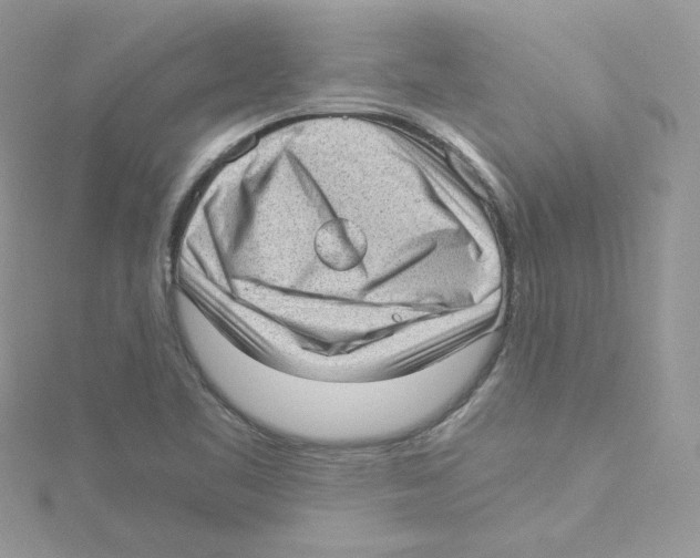 X0000114521461200911161306