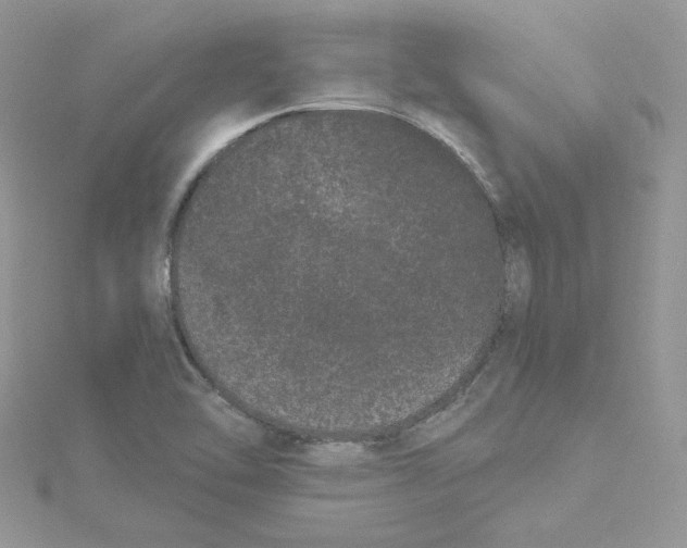 X0000114521462200911161306