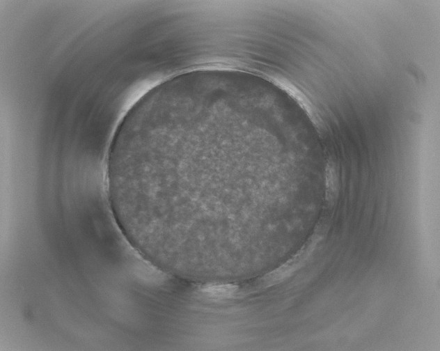 X0000114521466200911161306