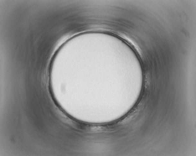 X0000114521467200911161306