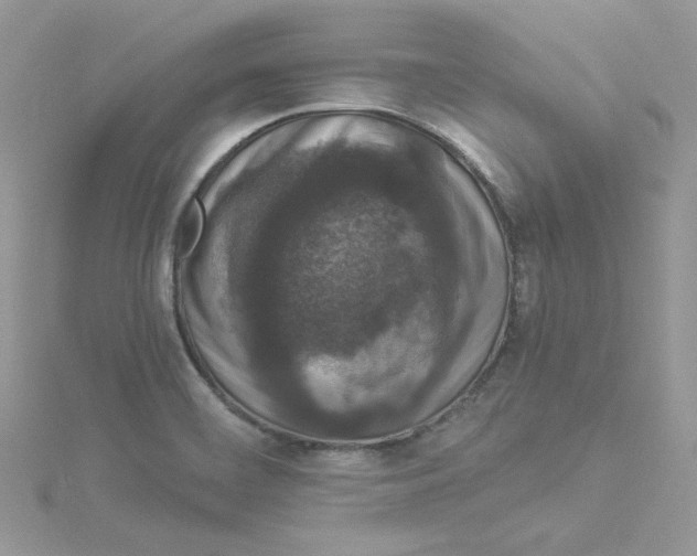 X0000114521468200911161306