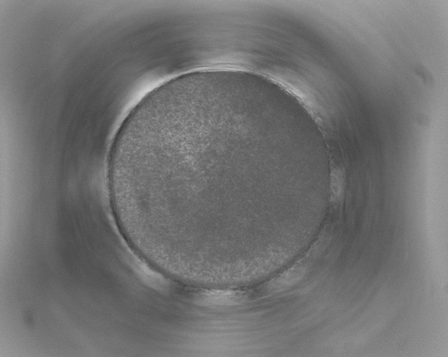 X0000114521470200911161306