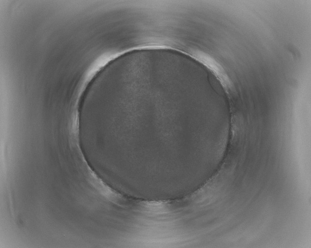 X0000114521472200911161306