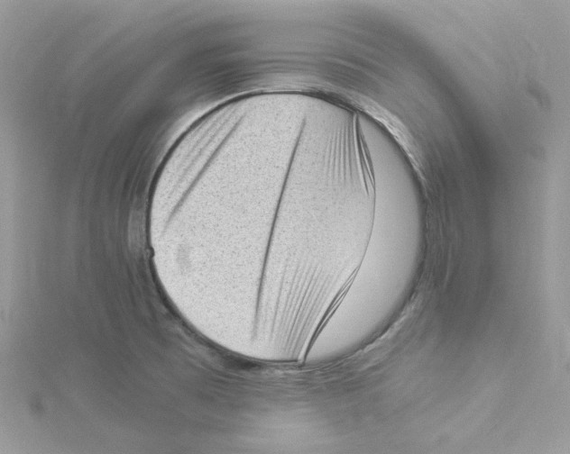 X0000114521473200911161306