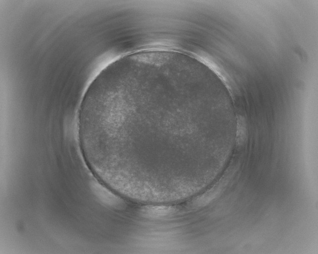 X0000114521474200911161306