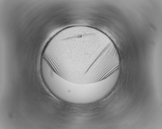 X0000114521477200911161306