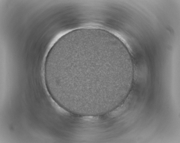 X0000114521478200911161306