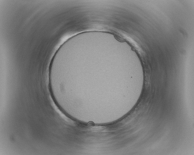 X0000114521479200911161306