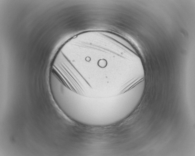 X0000114521480200911161306