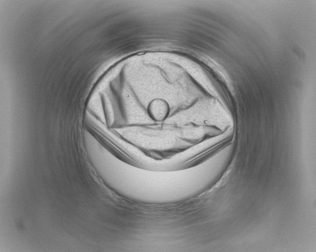 X0000114521481200911161306