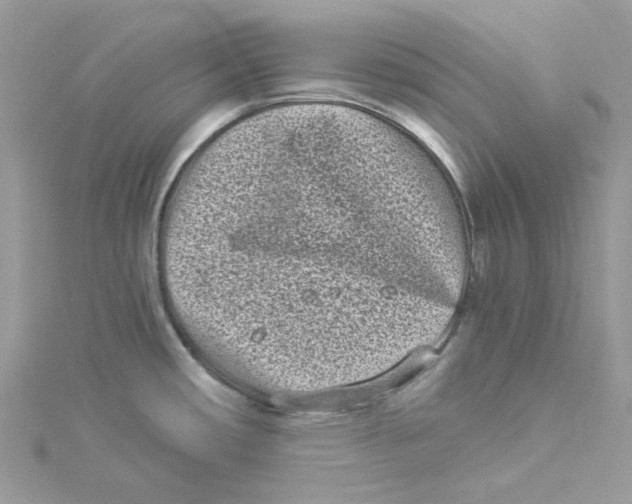 X0000114521482200911161305