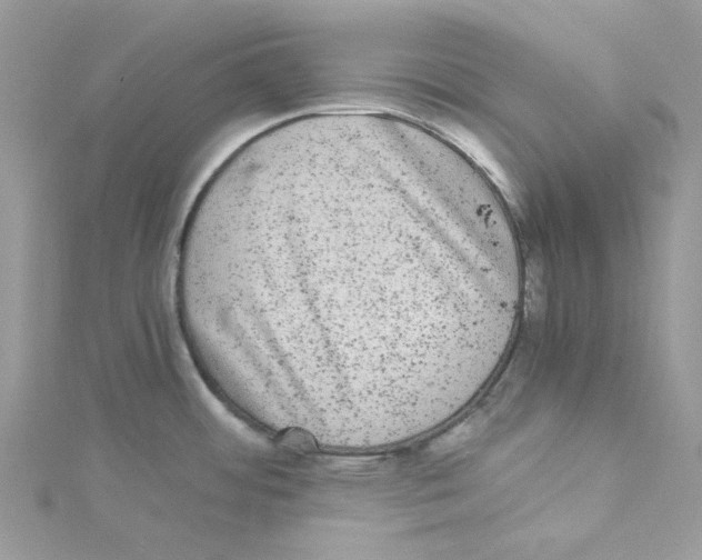 X0000114521484200911161305