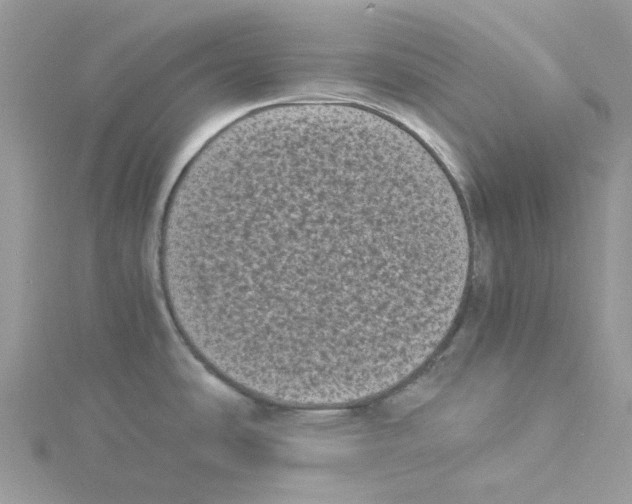 X0000114521486200911161305