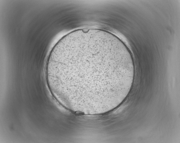 X0000114521488200911161305