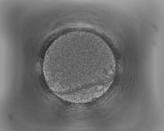 X0000114521493200911161305