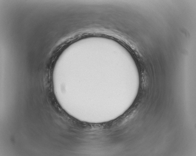 X0000114521494200911161305