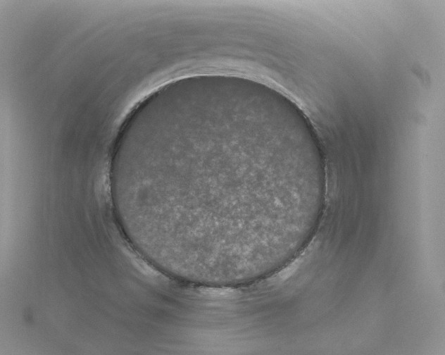 X0000114521498200911161305