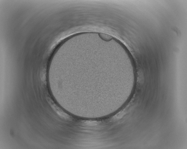 X0000114521499200911161305