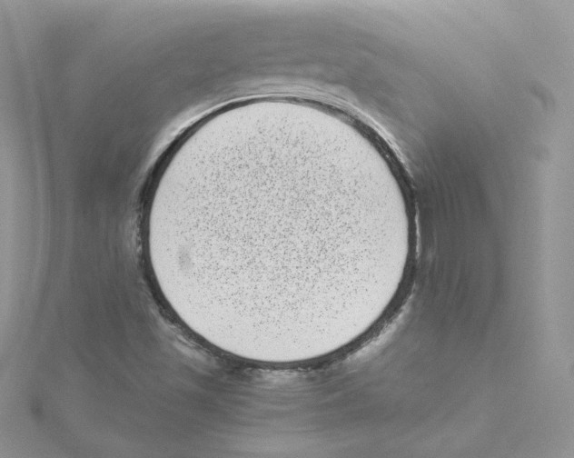 X0000114521501200911161305