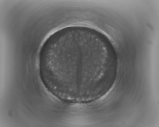 X0000114521506200911161305